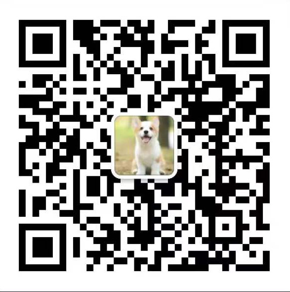 硅格科技 微信二维码